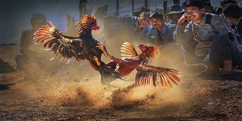 66ff đăng nhập roulette số 1
