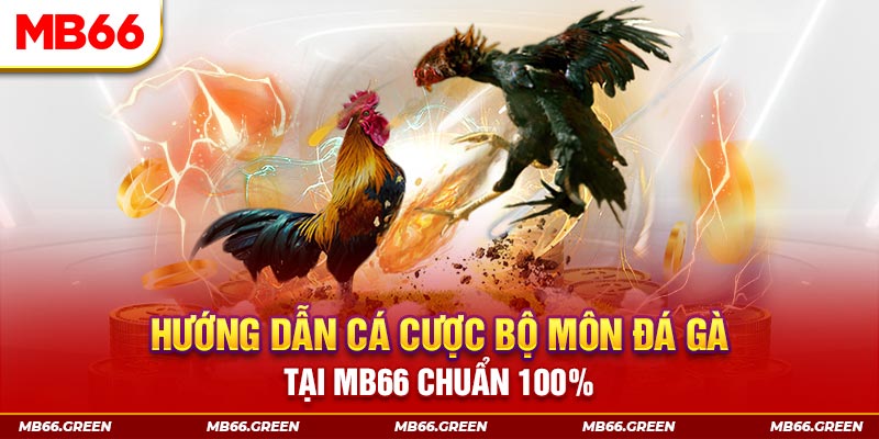 66ff xổ số bình định
