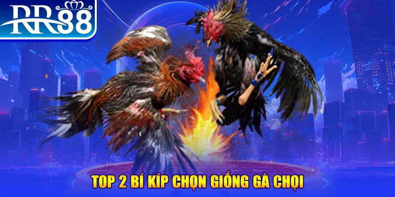66ff đăng nhập roulette dễ thắng