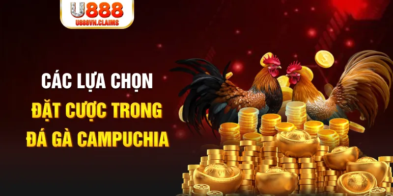 66ff SW Xổ Số