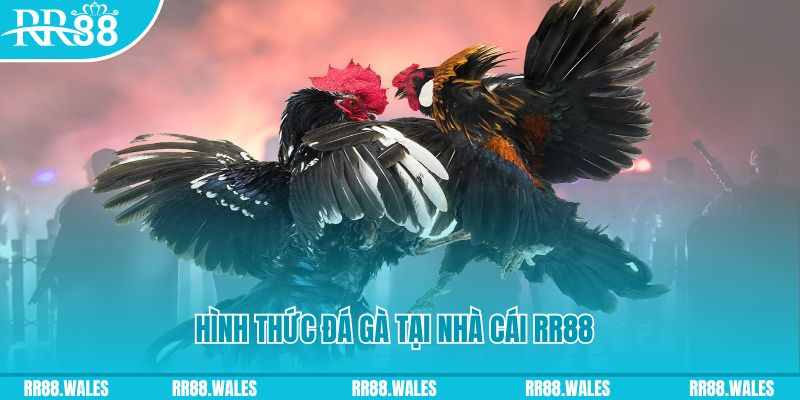 66ff xin 1 slot là gì