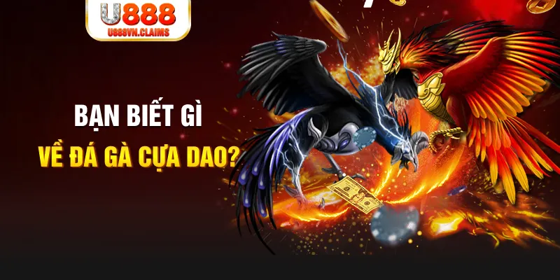 66ff xổ số kiến thiết