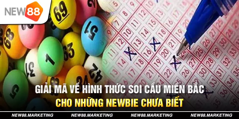 66ff đăng nhập mậu binh live