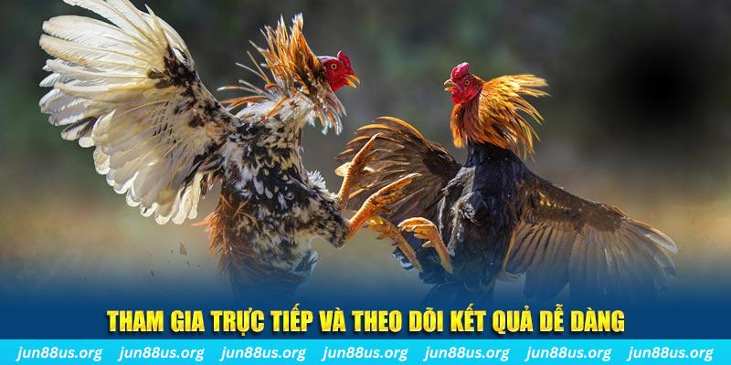 66ff đá gà trực tiếp bình luận viên