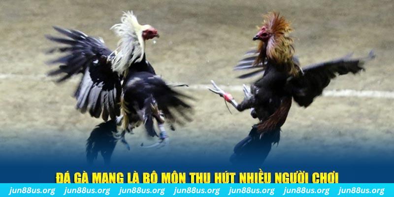 66ff xổ số cà mau