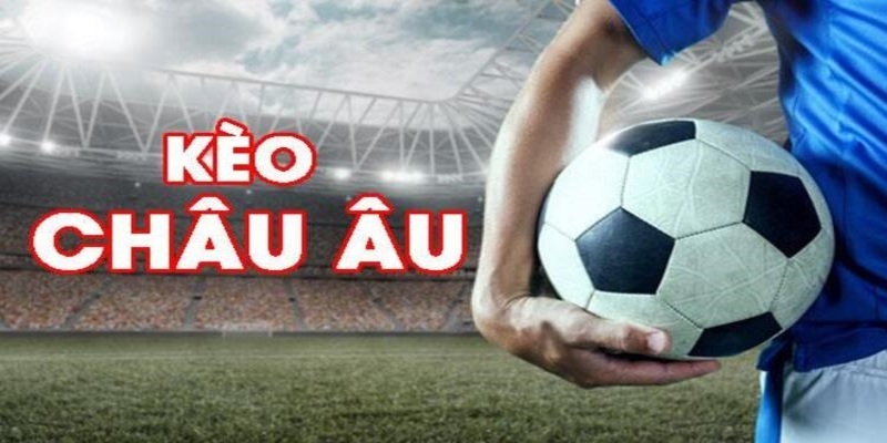 66ff đá gà trực tiếp casino