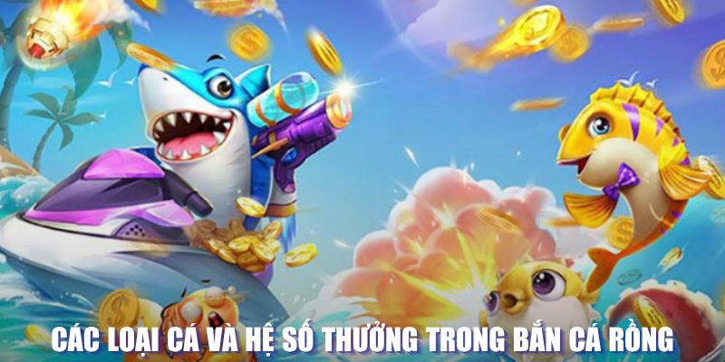 66ff loi game dot kich ket noi may chu that bai