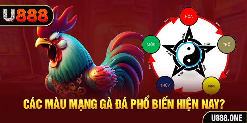 66ff đăng nhập mậu binh