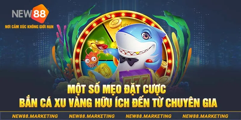 66ff Tài Xỉu