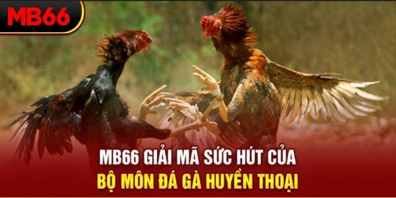 66ff Phi Đội Ưu Tú