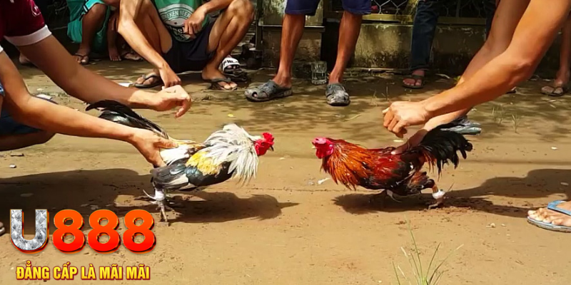 66ff đăng nhập mậu binh rút tiền nhanh