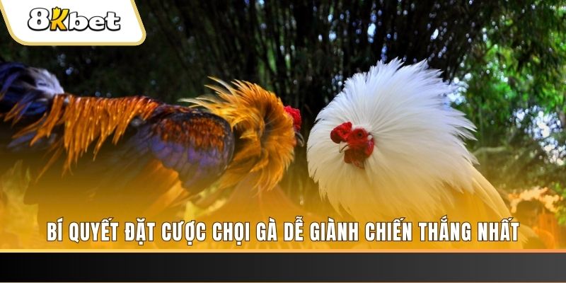 66ff Tài Xỉu 2