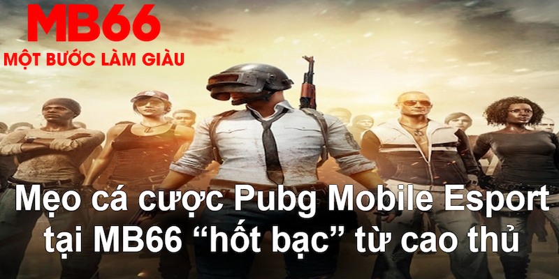 66ff gà chọi mộc hóa