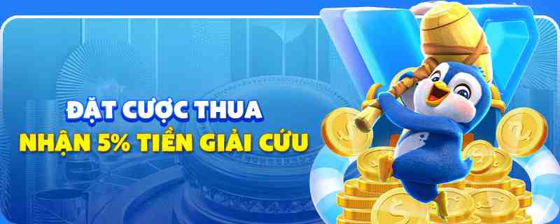 66ff gà chọi cu cần