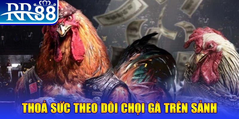 66ff đá gà 88.com