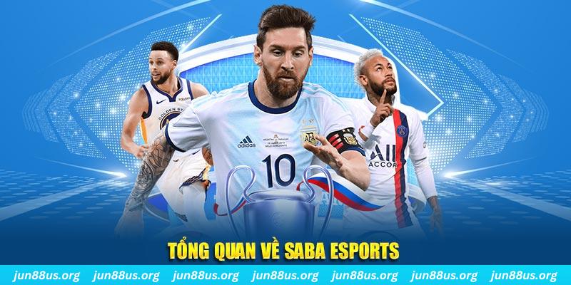 66ff gà chọi c1 tv trực tiếp hôm nay
